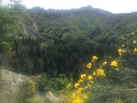 073 hinauf nach Chiusure