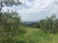 077 hinauf nach Chiusure