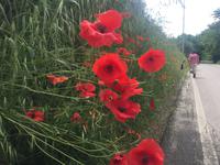 078 hinauf nach Chiusure