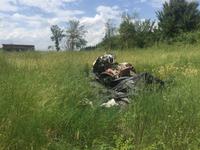 087 Wanderung nach Buonconvento