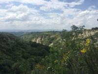 088 Wanderung nach Buonconvento