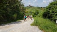 091 Wanderung nach Buonconvento