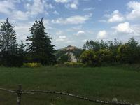 094 Wanderung nach Buonconvento