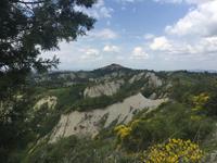 096 Wanderung nach Buonconvento