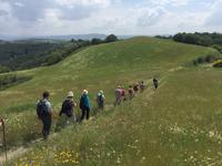 097 Wanderung nach Buonconvento