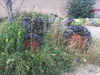 098 Wanderung nach Buonconvento