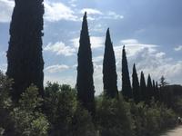 100 Wanderung nach Buonconvento