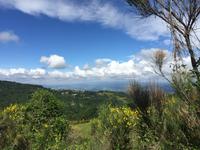 114 Wanderung von Vivo d'Orcia nach Seggiano