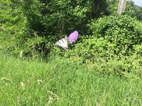 116 Wanderung von Vivo d'Orcia nach Seggiano