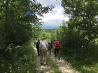119 Wanderung von Vivo d'Orcia nach Seggiano