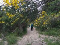 125 Wanderung von Vivo d'Orcia nach Seggiano