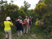 126 Wanderung von Vivo d'Orcia nach Seggiano
