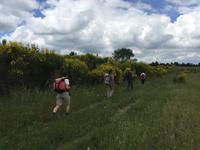 127 Wanderung von Vivo d'Orcia nach Seggiano