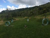 137 Spoerri-Skulpturengarten