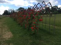 142 Spoerri-Skulpturengarten