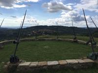 152 Spoerri-Skulpturengarten