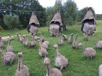 154 Spoerri-Skulpturengarten