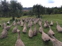 155 Spoerri-Skulpturengarten