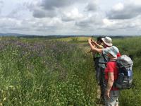 171 Rundwanderung Ville di Corsano