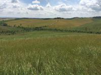 176 Rundwanderung Ville di Corsano