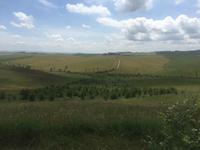 178 Rundwanderung Ville di Corsano