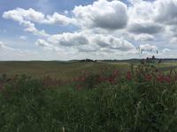 179 Rundwanderung Ville di Corsano