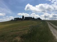 181 Rundwanderung Ville di Corsano