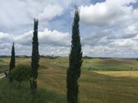 182 Rundwanderung Ville di Corsano