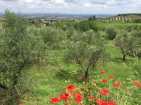 187 Rundwanderung Ville di Corsano