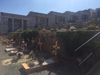 199 von Montalcino nach Sant Antimo