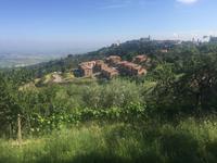 200 von Montalcino nach Sant Antimo