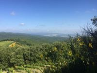 205 von Montalcino nach Sant Antimo