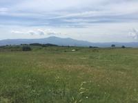 207 von Montalcino nach Sant Antimo