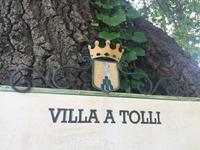 213 von Montalcino nach Sant Antimo