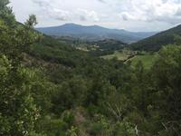 232 Abstieg nach Sant Antimo