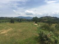 234 Abstieg nach Sant Antimo