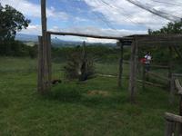 243 Wanderung nach San Galgano - Hapimag Anlage