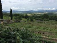 245 Wanderung nach San Galgano - Hapimag Anlage