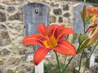 247 Wanderung nach San Galgano