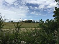 248 Wanderung nach San Galgano