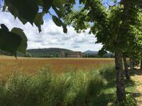 255 San Galgano - Kirche ohne Dach