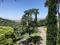 318 Florenz - Blick von der Piazzale Michelangelo