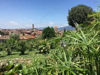 320 Florenz - Blick vom Rosengarten