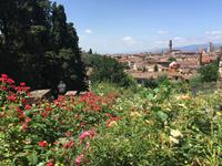 323 Florenz - Blick vom Rosengarten
