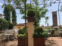 326 Florenz - Abschieds-Kaffee auf Dachterrasse