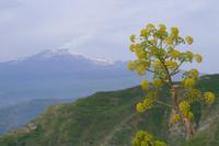 Castelmola, Taormina