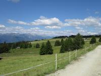 Ausblick in die Südtiroler Bergwelt