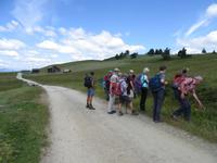 Blumenkunde mit Toni