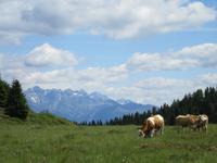 Ausblick in die Dolomiten
