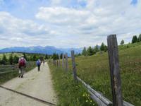 Rückweg zum Ausgangspunkt